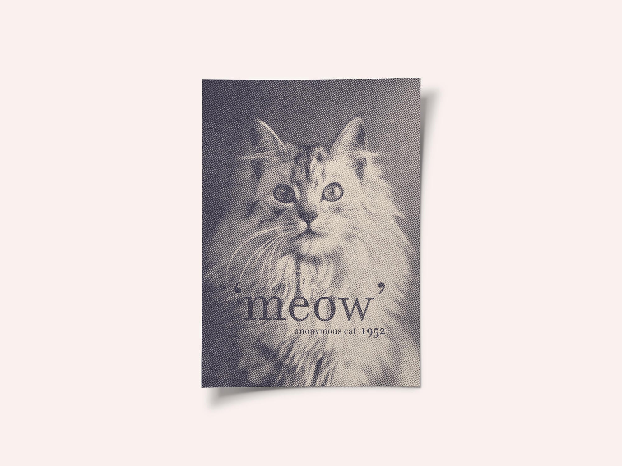 Famous Quote Cat