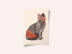 Chat Catcheur