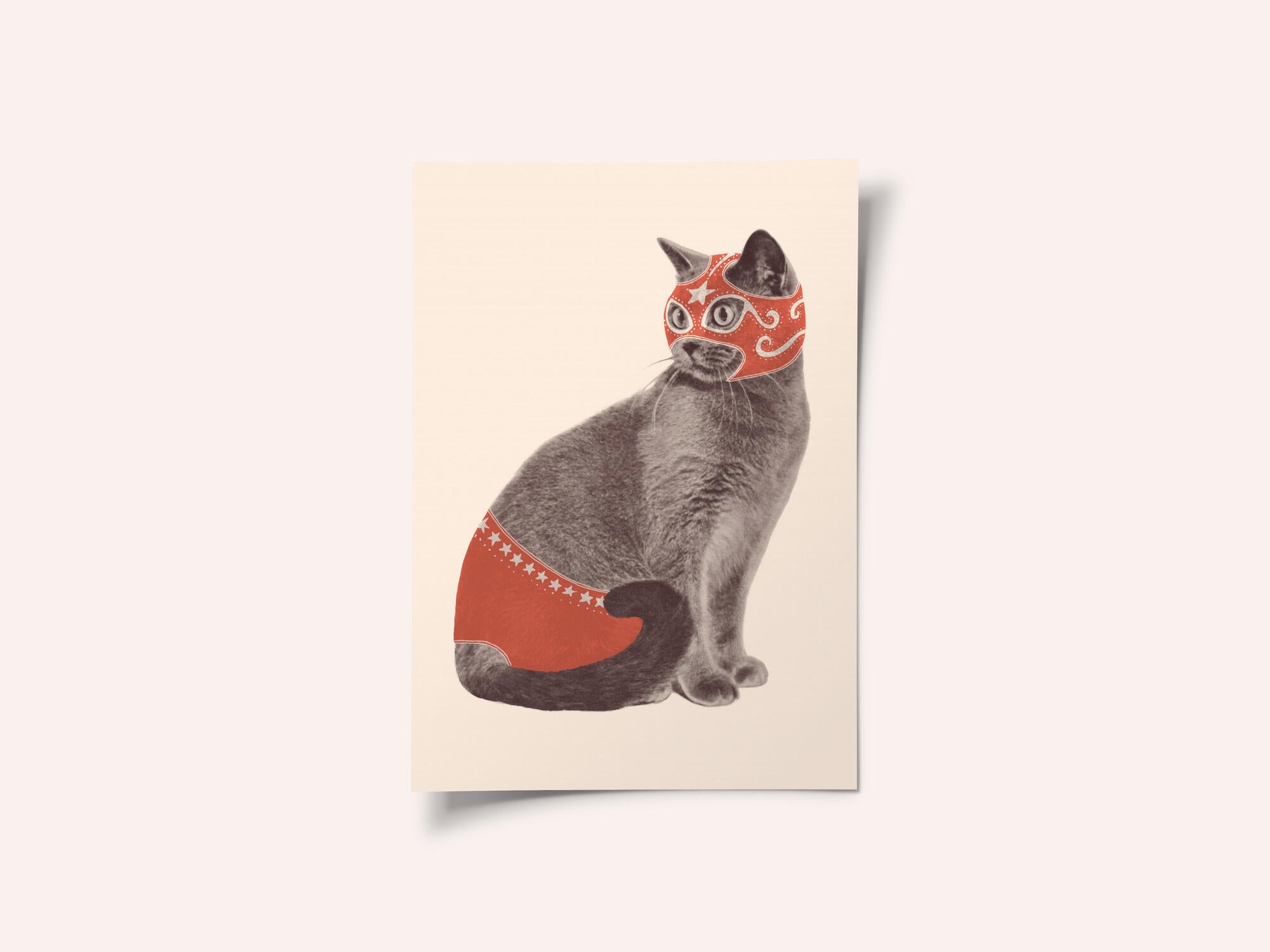 Chat Catcheur