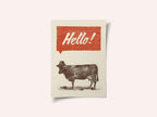 Hello