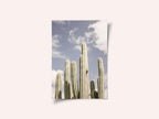 Desert Sentinels