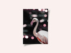 Flamingo Elegance