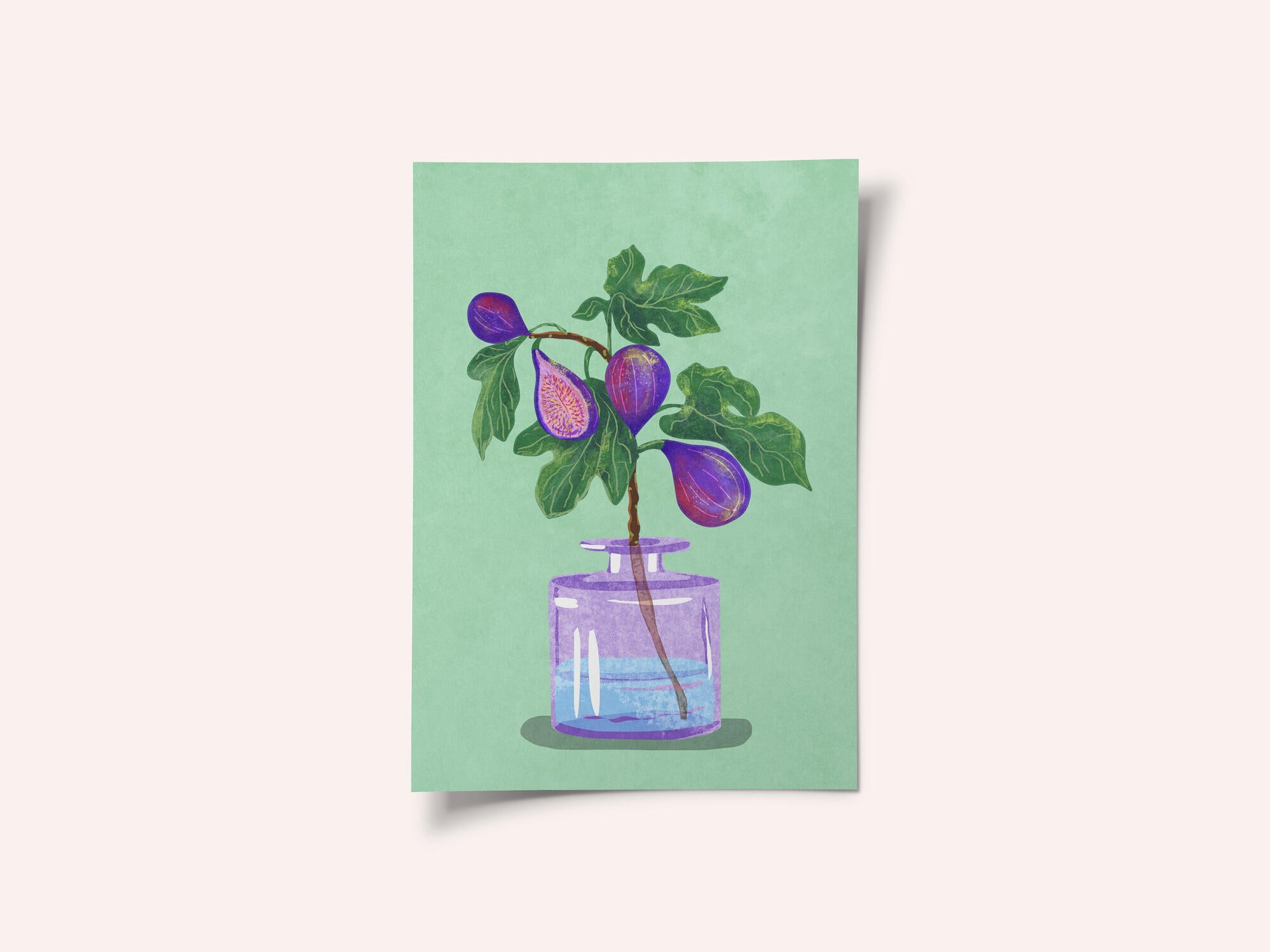 Figs Branch In Vase