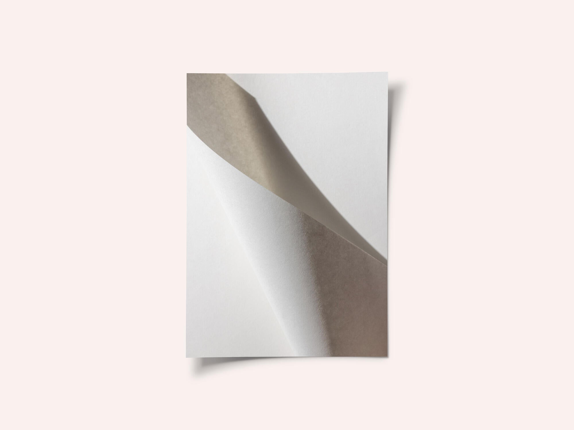 Paper Studies 15
