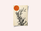 Japanese Birch