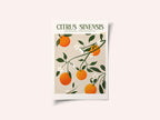 Orange Elegance