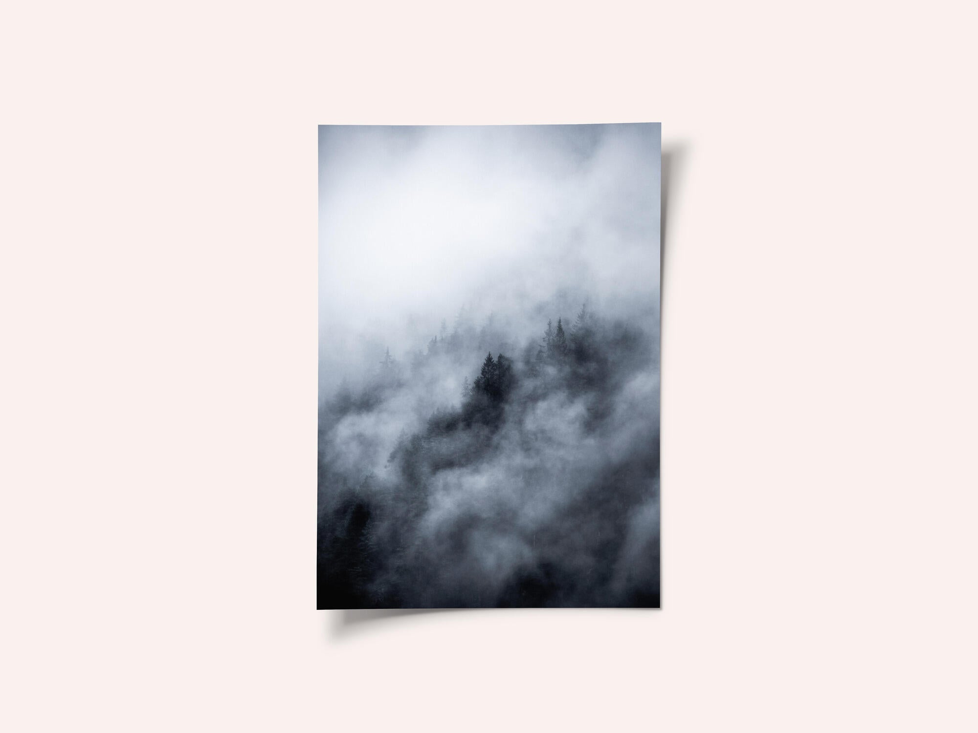 Foggy Morning 3