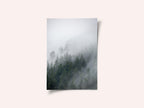 Foggy Morning 2