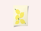 Lemon Harmony