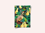 Partridge in a pear tree