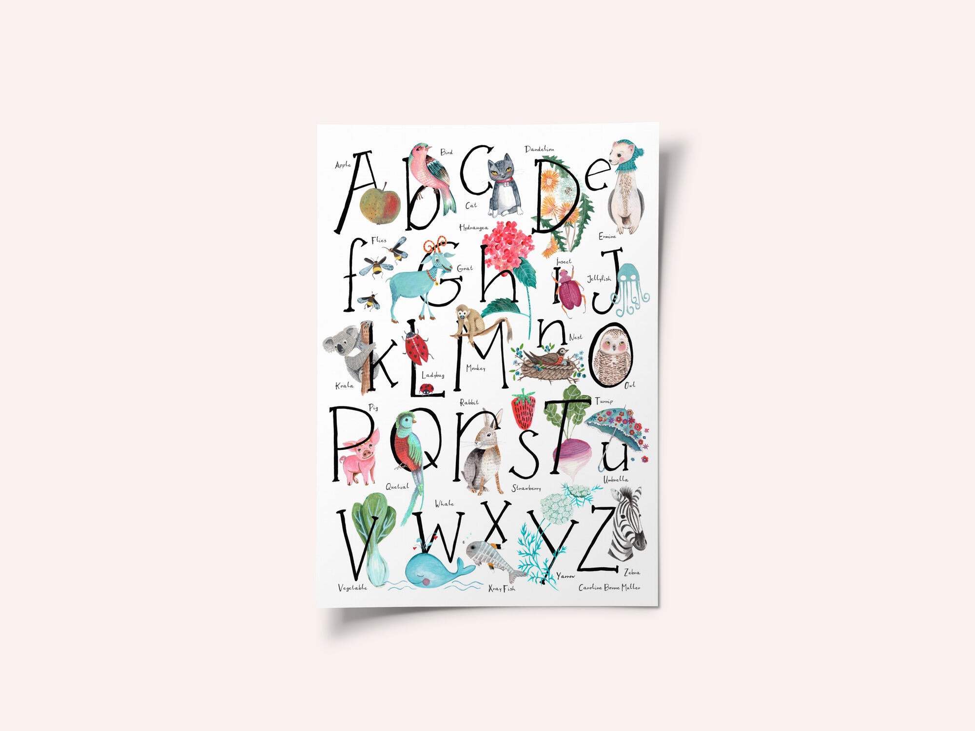ABC illustration