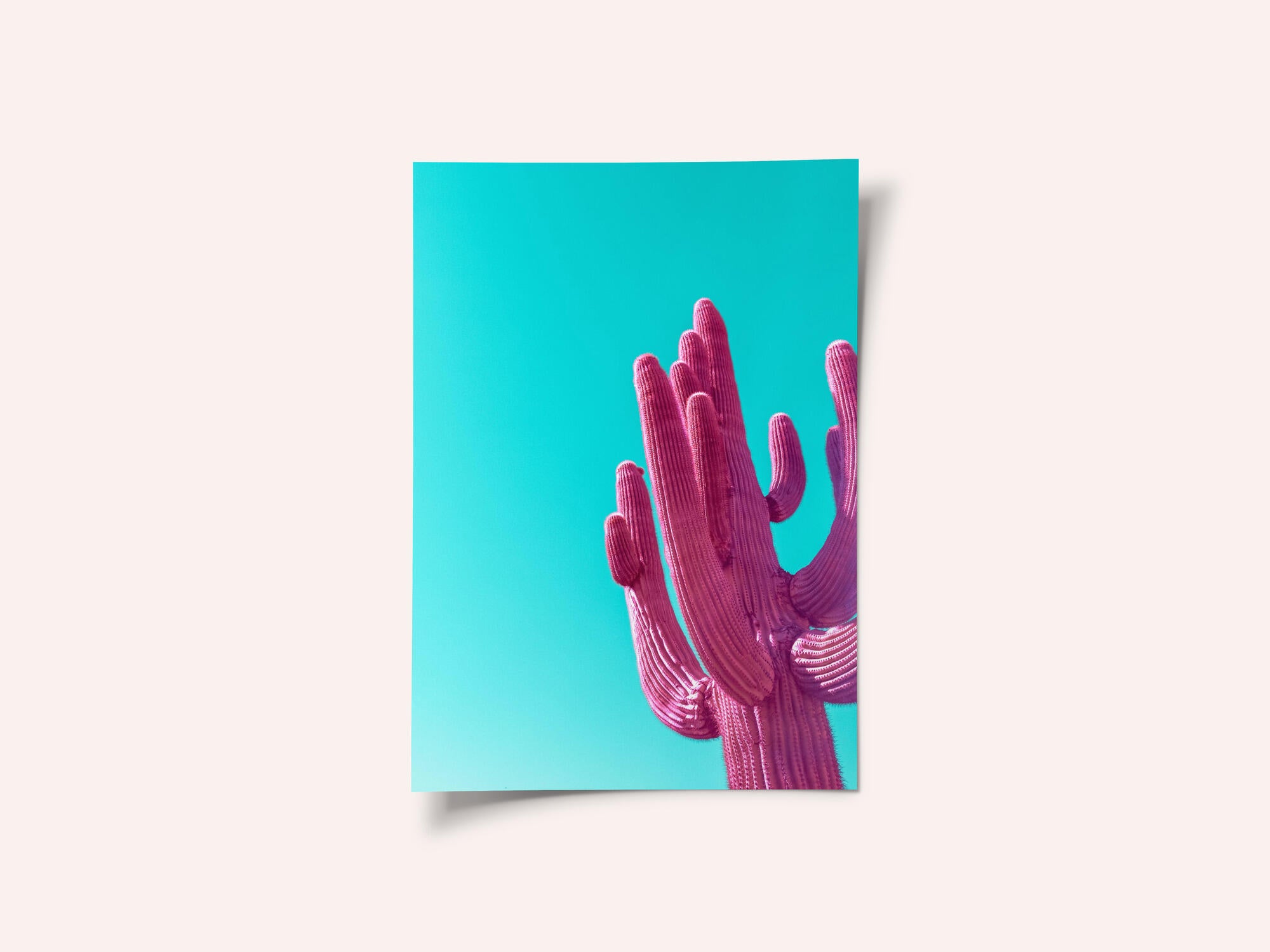 Magenta Pink Saguaro