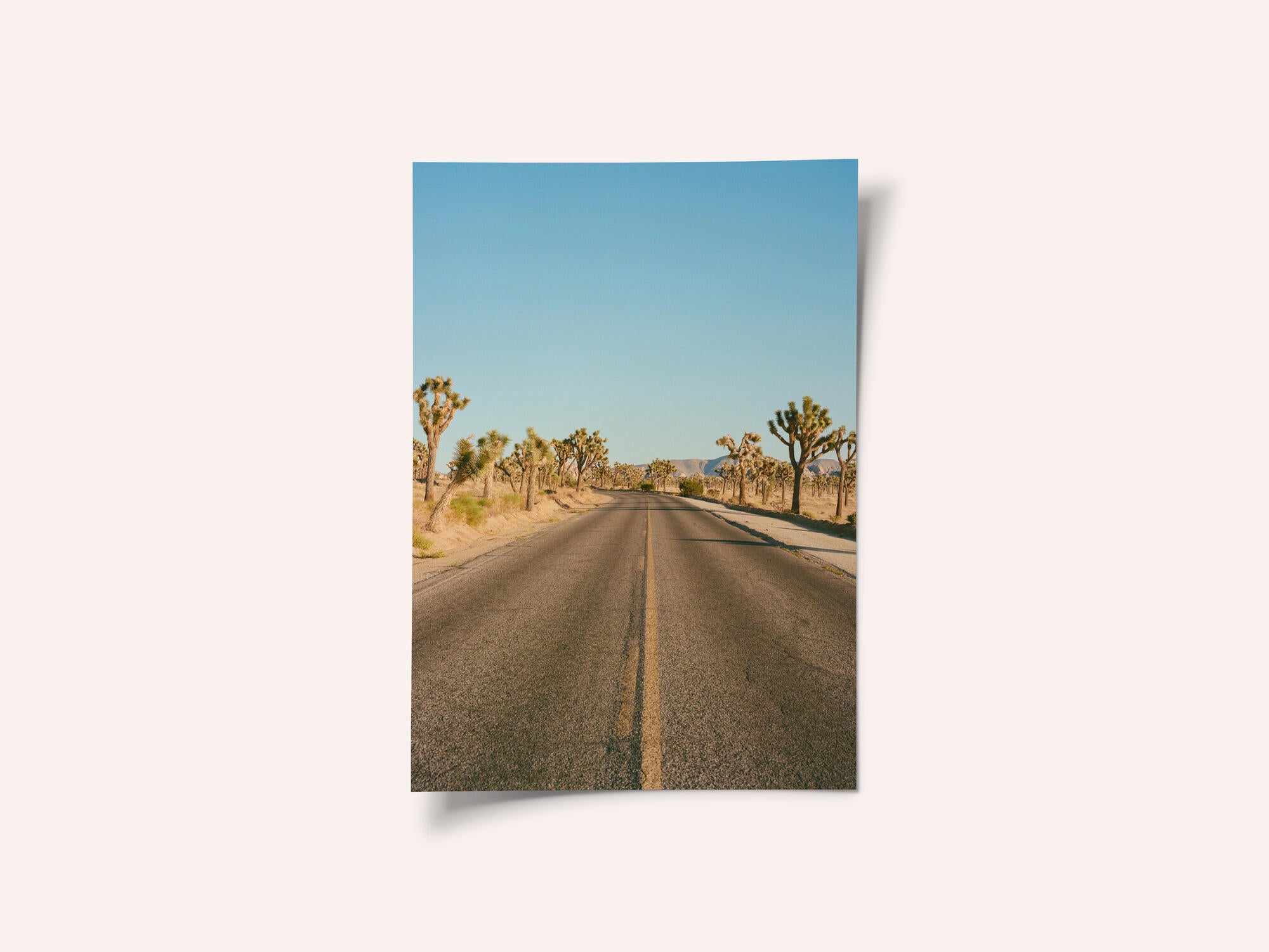 Joshua Tree Road II