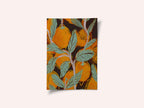 Orange Orchard Vibes