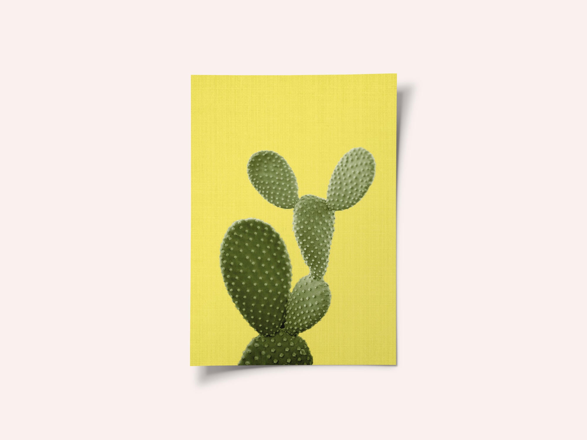 Yellow Cactus