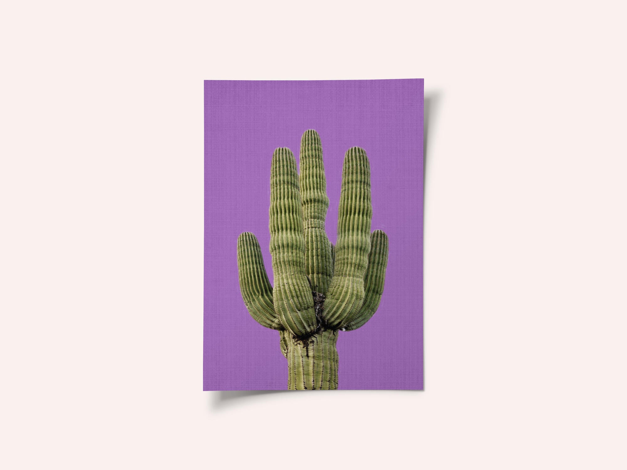 Purple Cactus