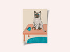 Naughty cat humour