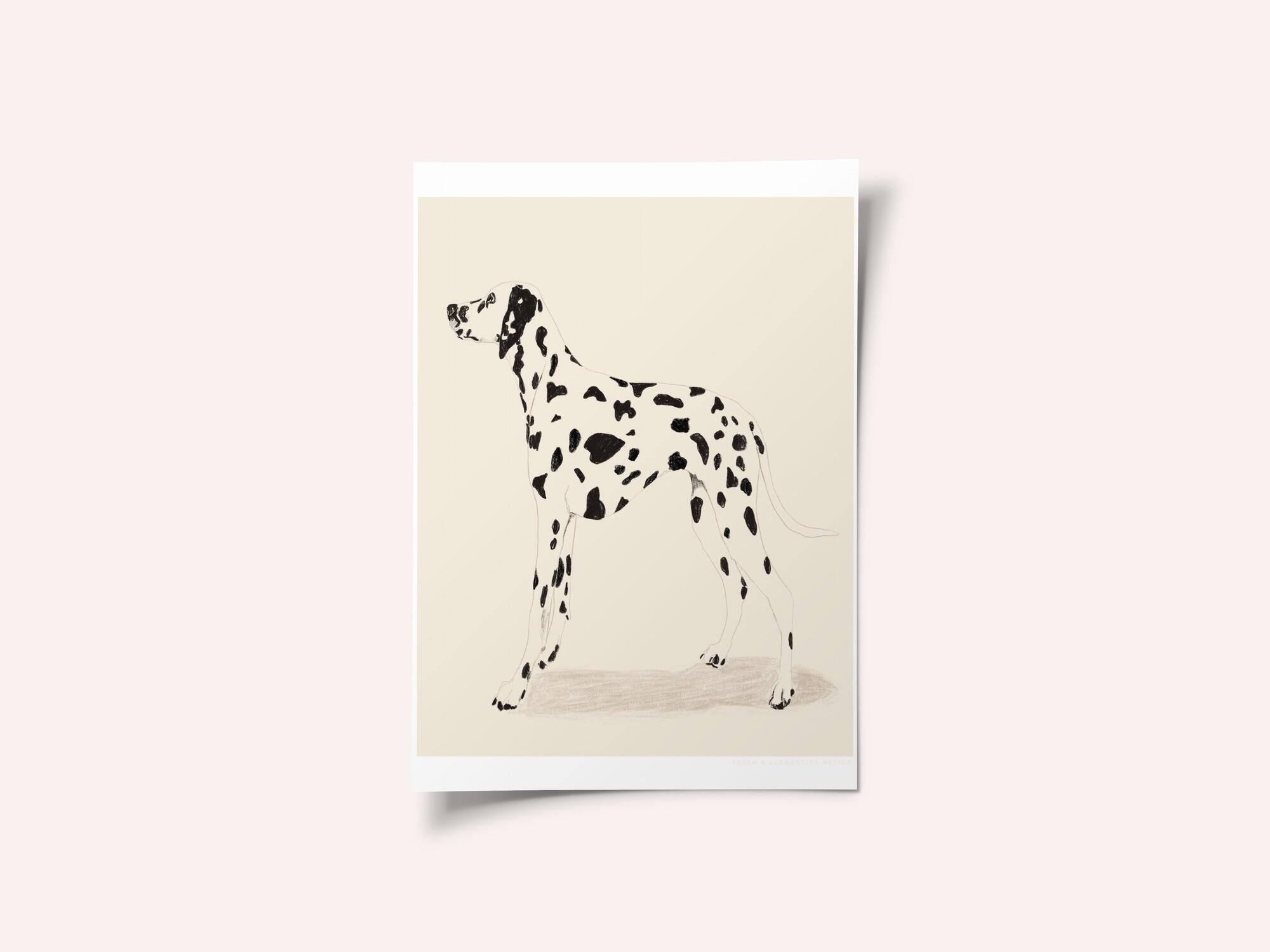 Pandc Dalmation
