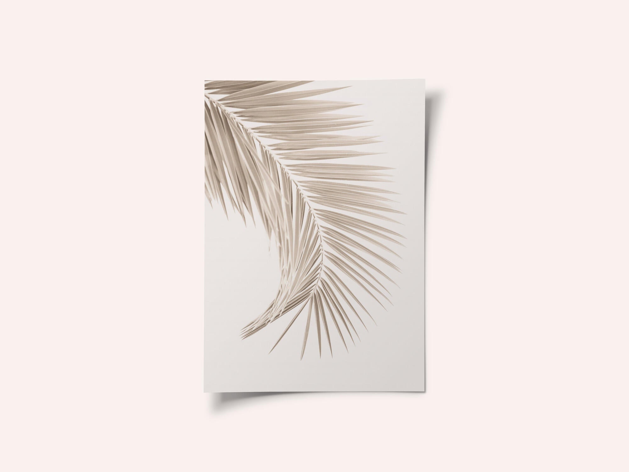 Tan Leaf