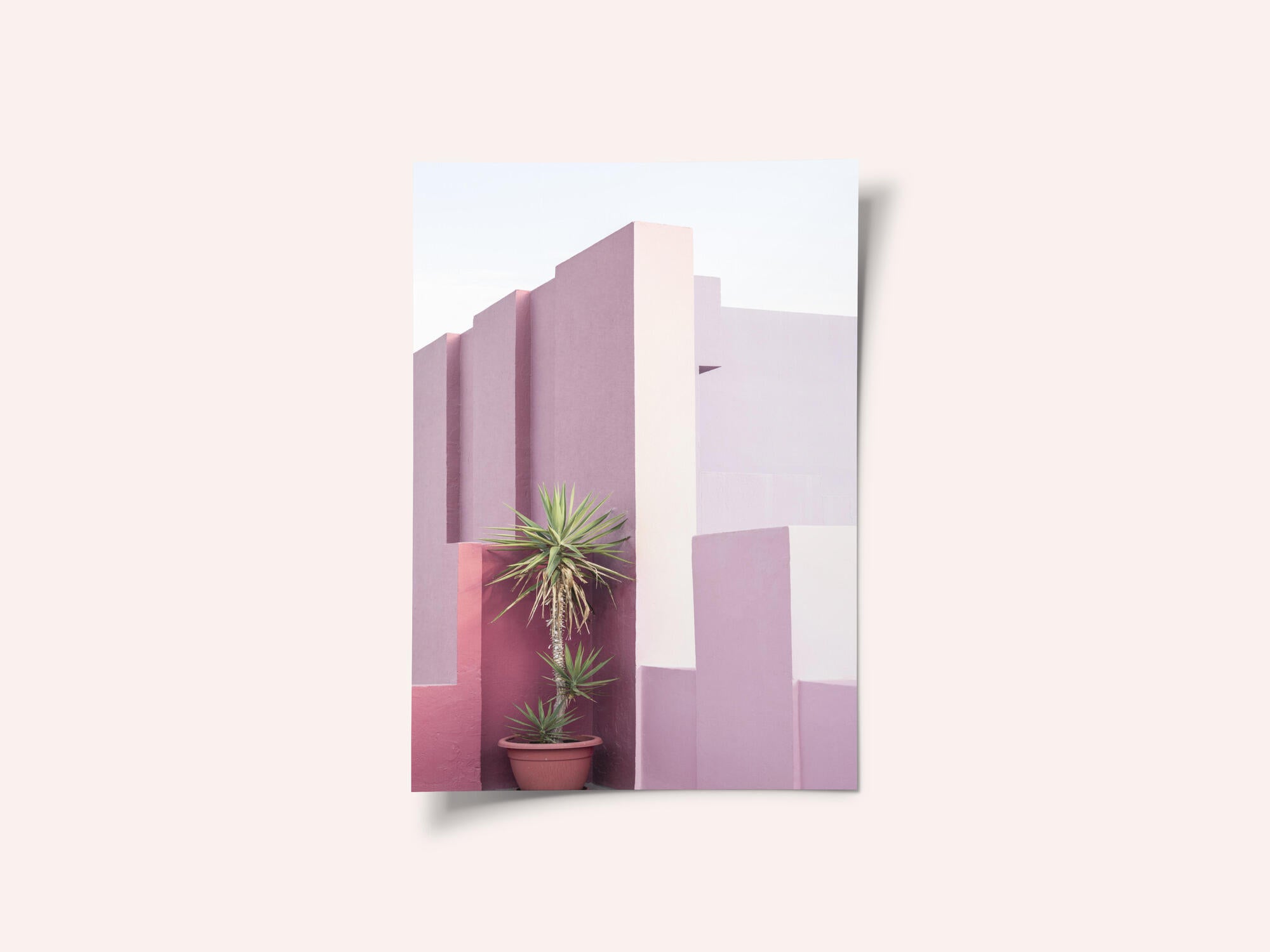 La Muralla Roja 4