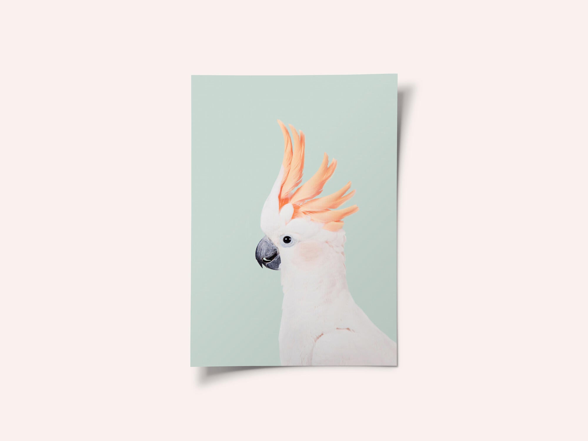 Cockatoo on Mint