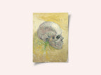 Skull (1887) Original