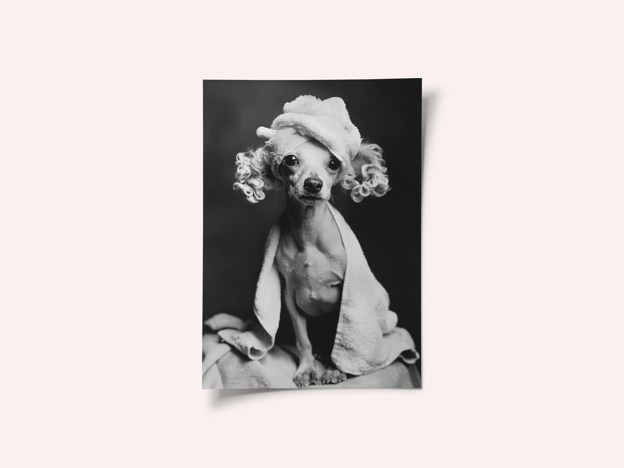 Spa Day Pooch