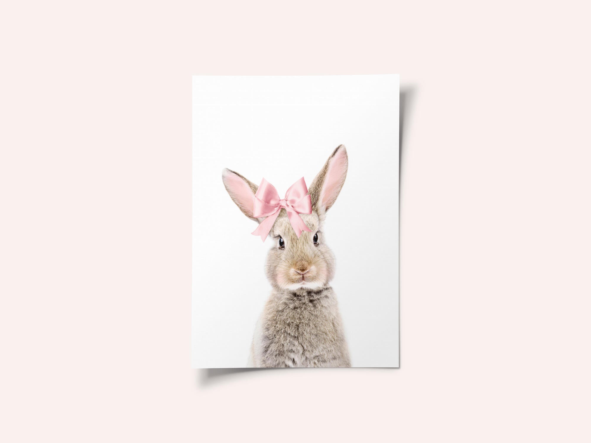 Bunny With a Bow
