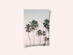 Blush Tropical Trees