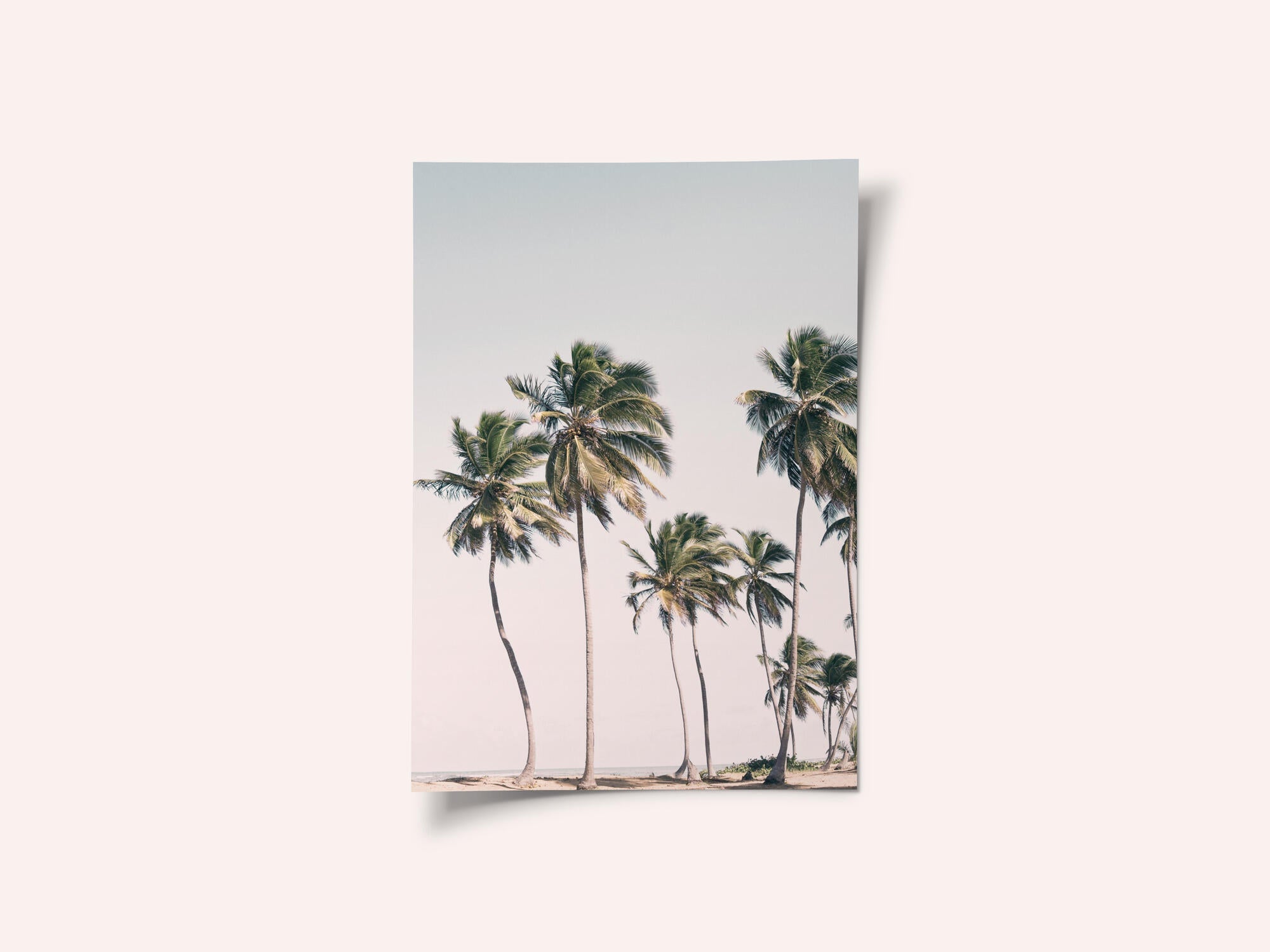 Blush Tropical Trees