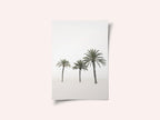Palms