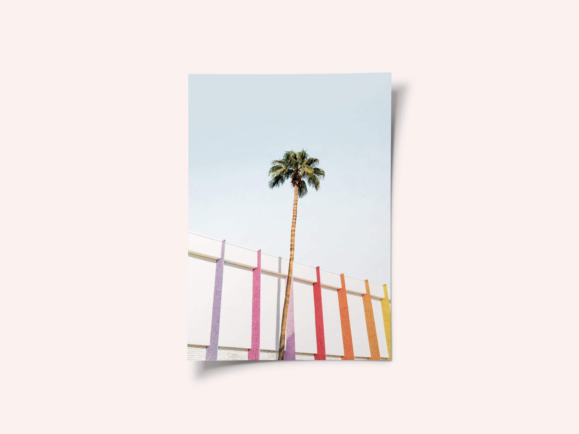 Palm Spring Colors 2