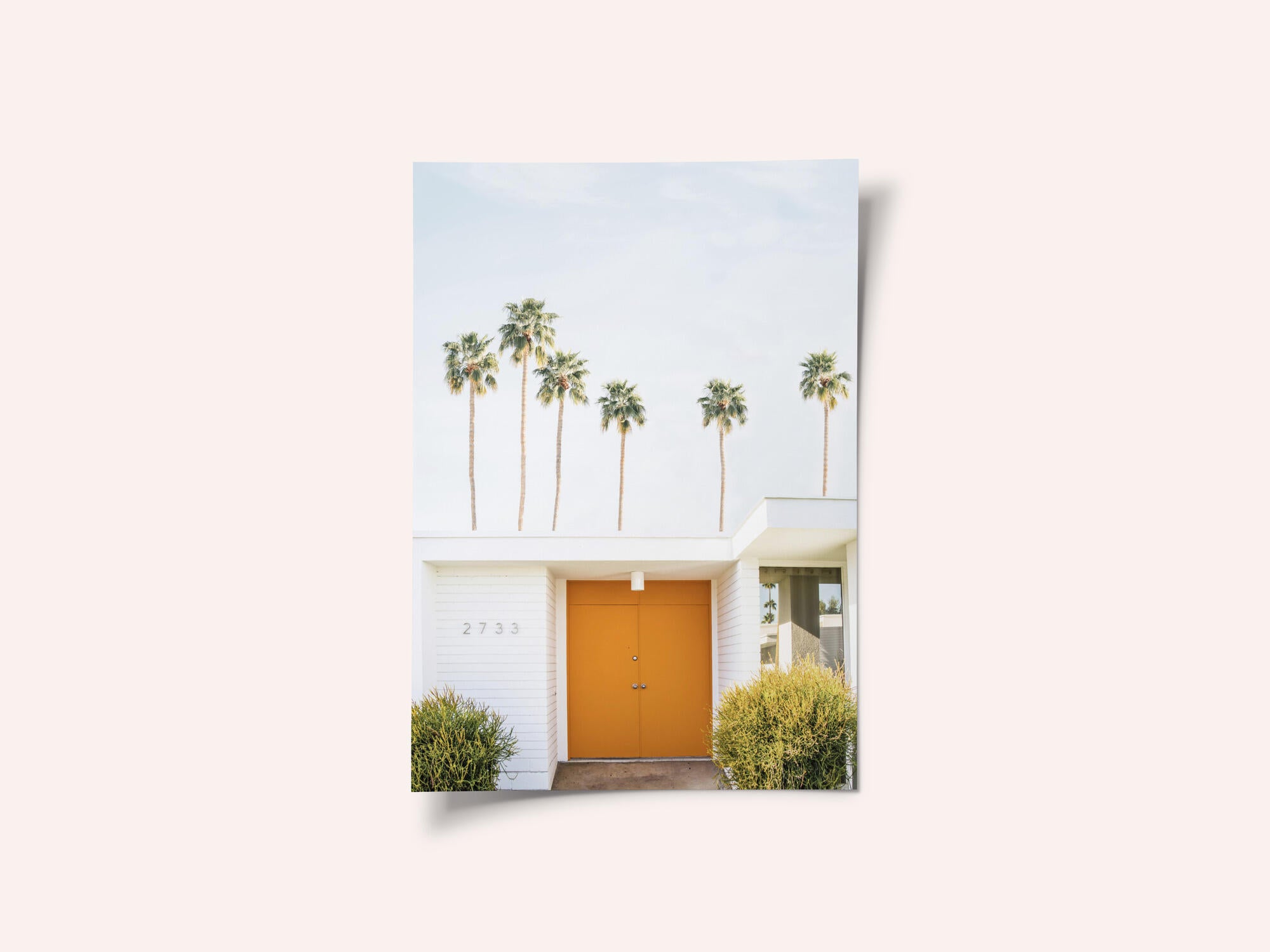 Palm Springs 1