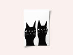 Two black cats