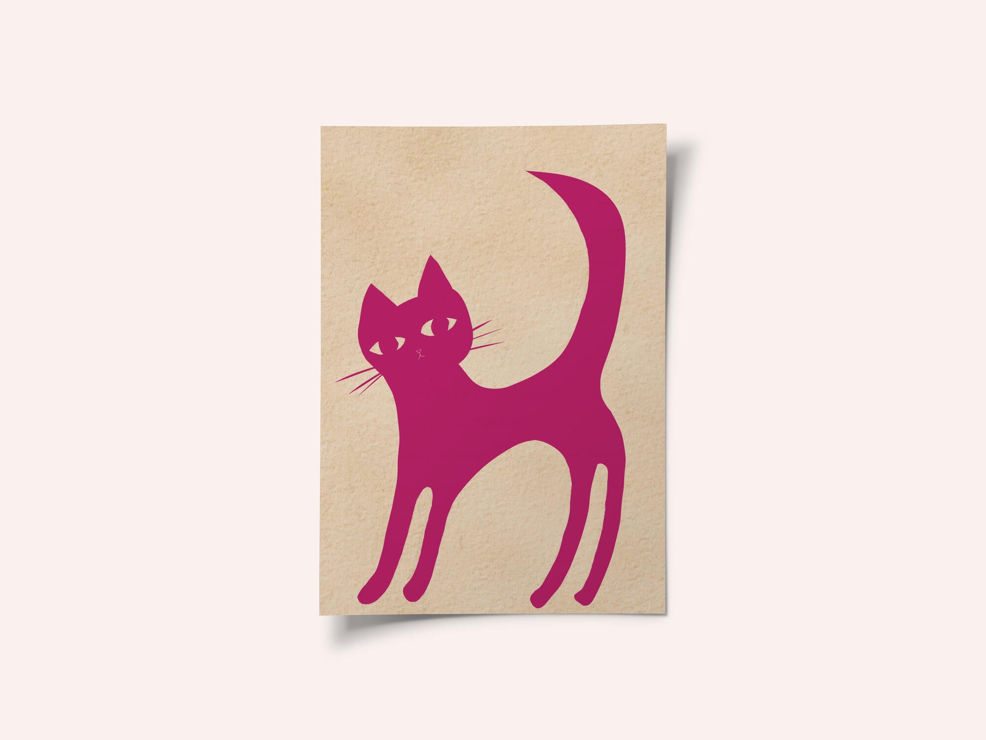 Pink cat