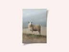 Sheep Study