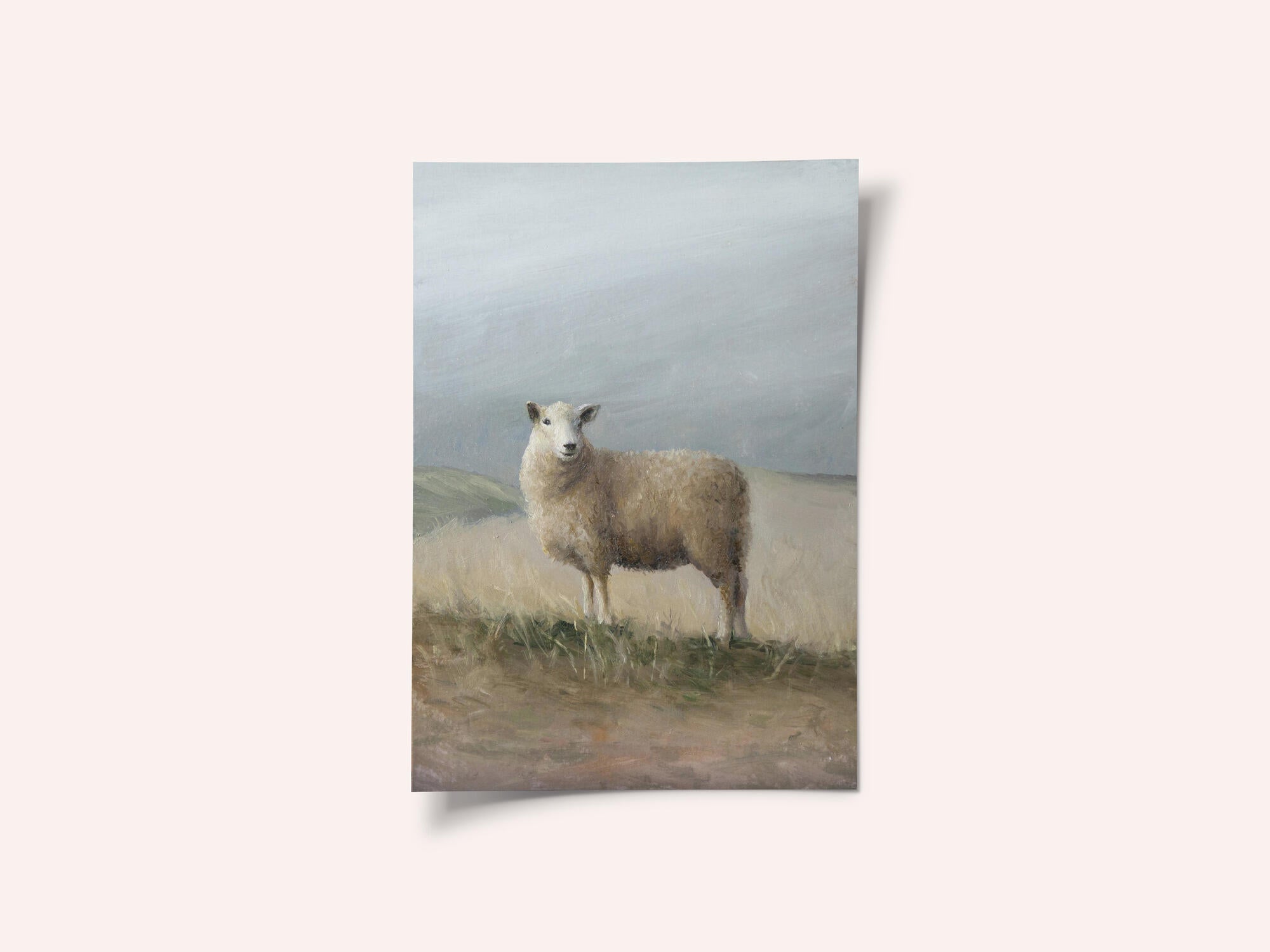 Sheep Study