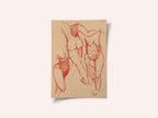 Gestural Nude Figure Studies