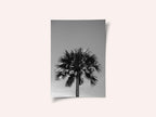 Striking Palm Silhouette