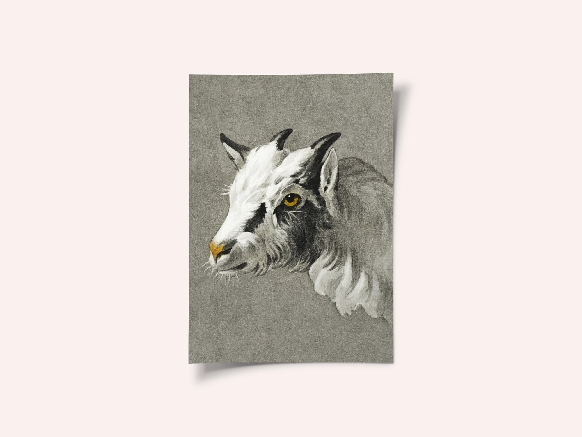 Head of a Goat Portrait Mode