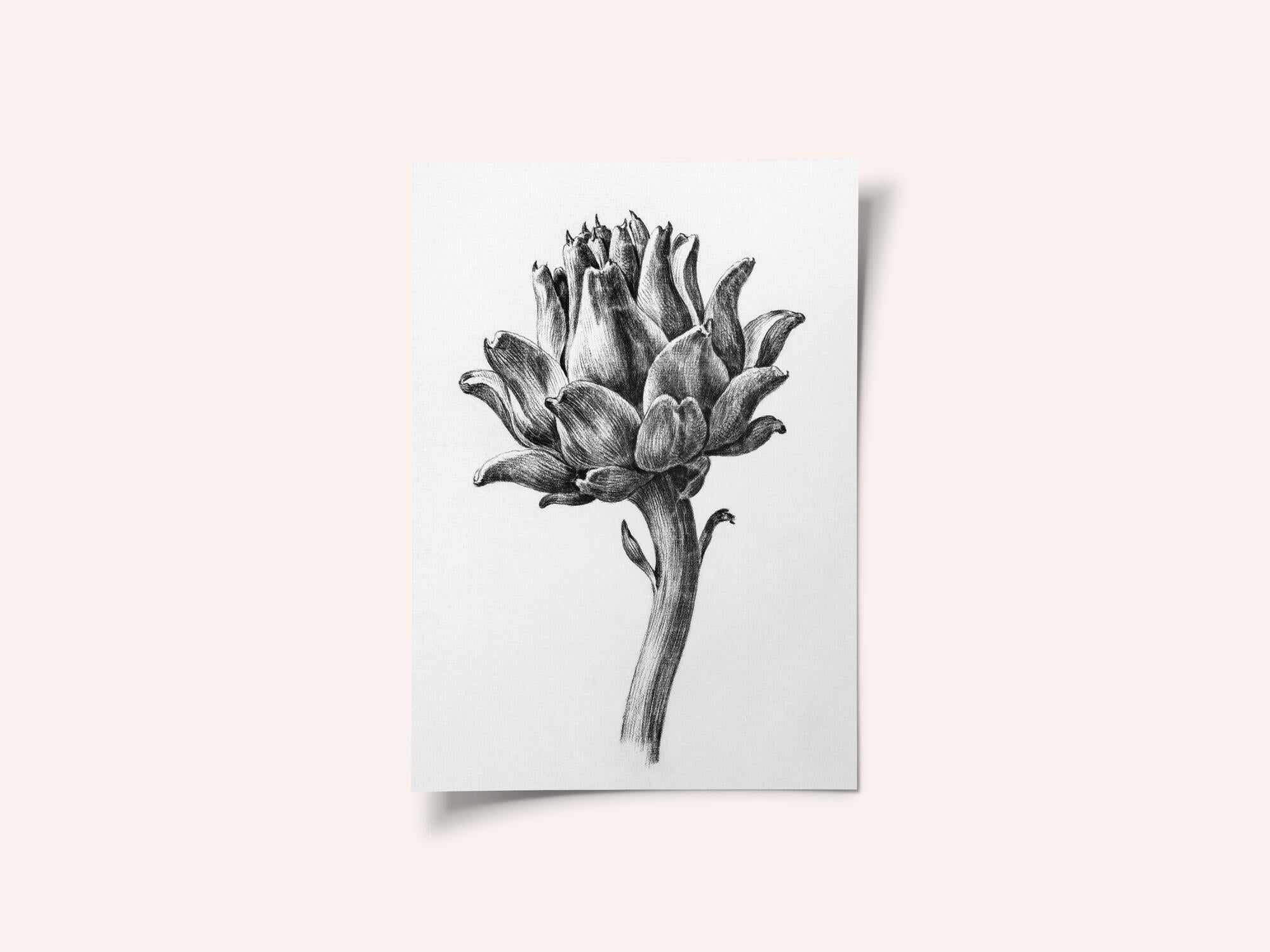 Artichoke By Jean Bernard