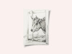 Head of a Cow (1820)