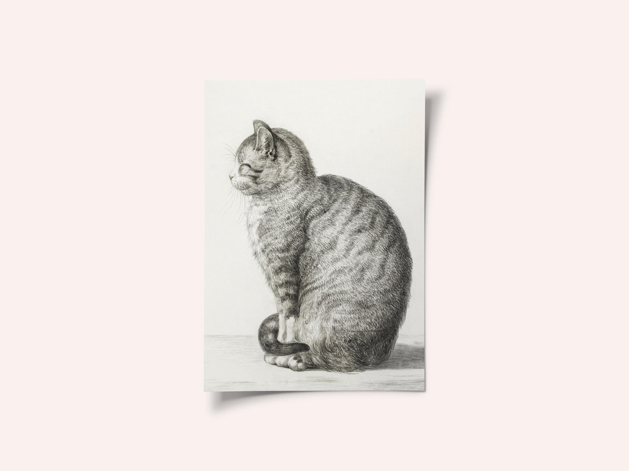Sitting Cat (1815)