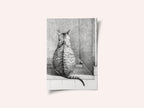 Sitting Cat, From Behind (1812)