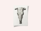 Skull of a Cow Front  View(1816)