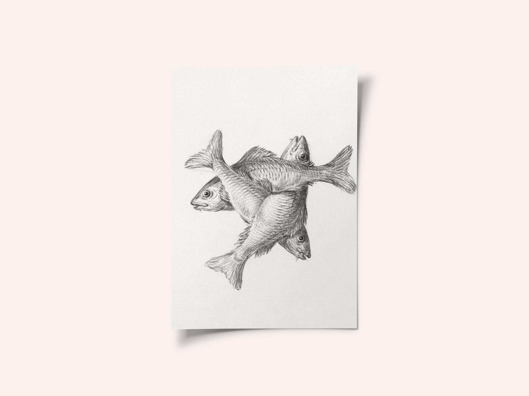 Three Fishes (1775–1833)