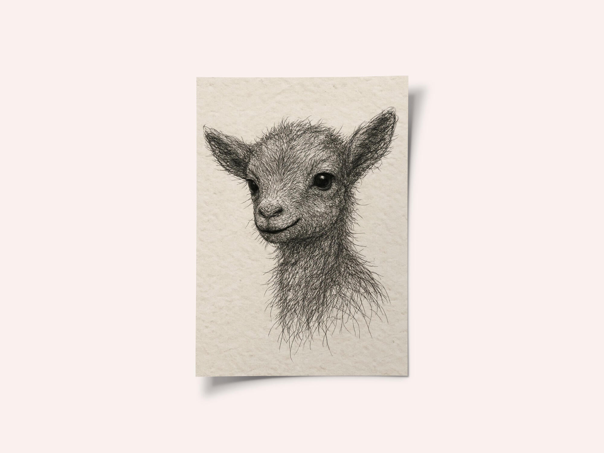 Smiling Baby Goat