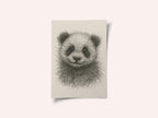 Fluffy Panda Cub
