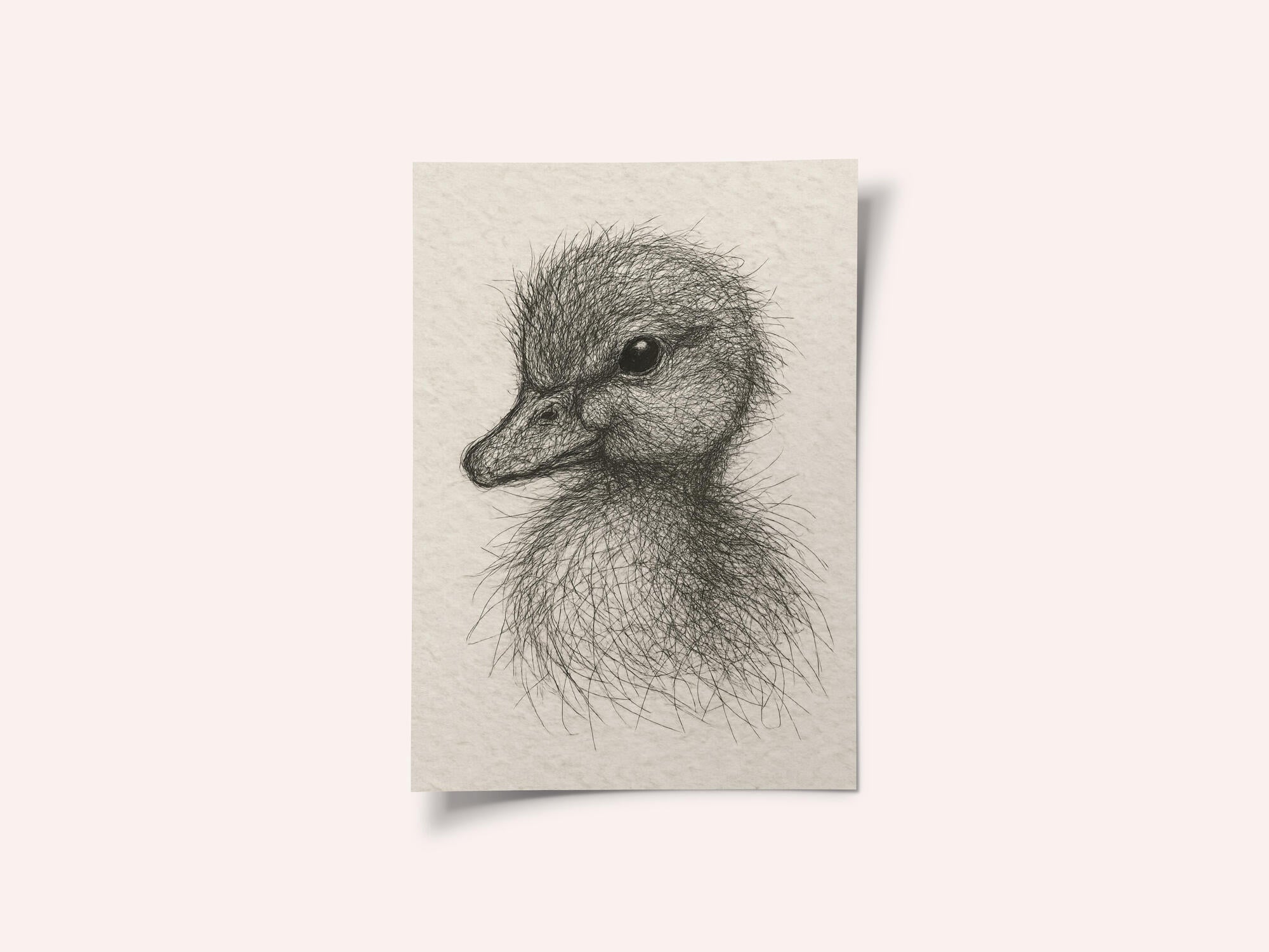 Fluffy Duckling Sketch