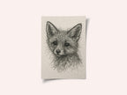 Cute Fox Kit Sketch
